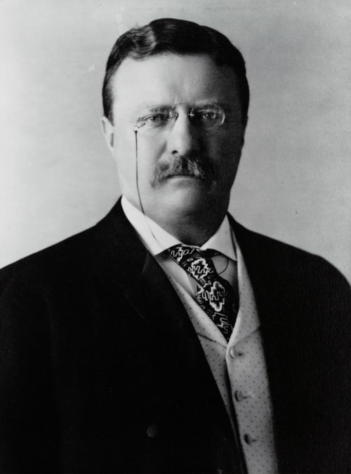 Theodore Roosevelt